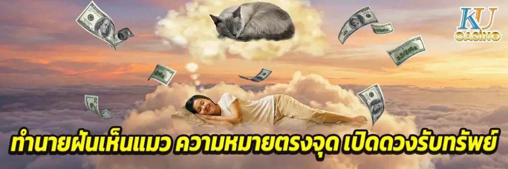 ทำนายฝันเห็นแมว ความหมายตรงจุด เปิดดวงรับทรัพย์